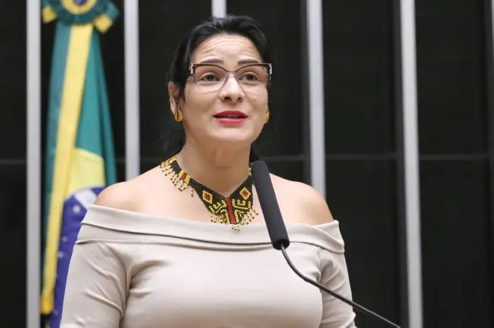 Audiência pública na Câmara discute desdobramentos da COP30