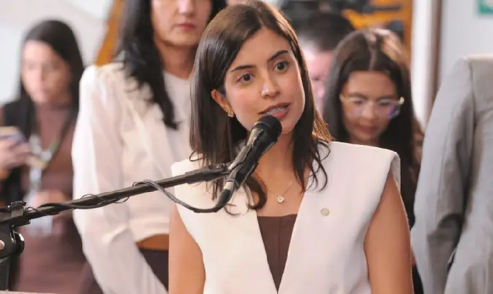 Comissão aprova Anna Nery como patrona da enfermagem no Brasil