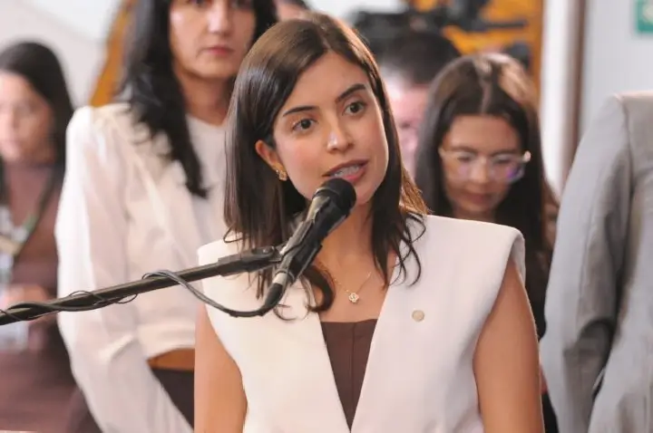 Comissão aprova Anna Nery como patrona da enfermagem no Brasil