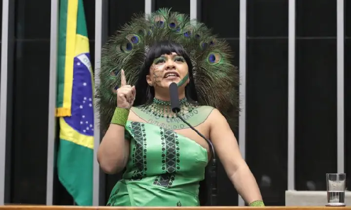 Comissão aprova criação de política para repatriar objetos culturais de povos indígenas