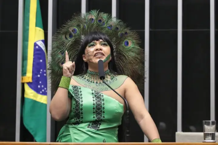 Comissão aprova criação de política para repatriar objetos culturais de povos indígenas