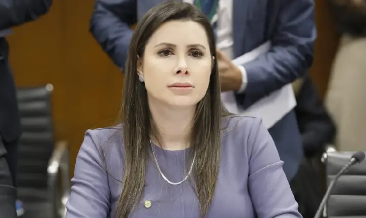 Comissão aprova direito de vítimas de violência doméstica acessarem histórico criminal de agressores