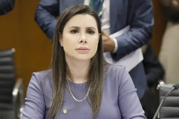 Comissão aprova direito de vítimas de violência doméstica acessarem histórico criminal de agressores