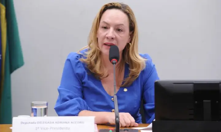 Comissão aprova fim de isenção penal patrimonial em violência doméstica