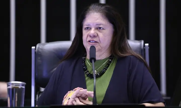 Comissão aprova prioridade no Bolsa Família para mulher vítima de violência doméstica