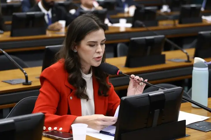 Comissão aprova prioridade para gestantes e lactantes em epidemias