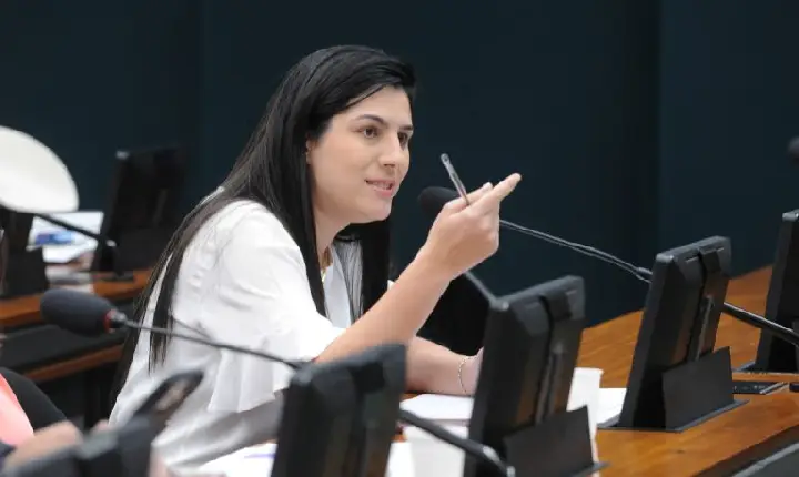 Comissão aprova projeto que amplia rede de apoio para grávidas e mães que estudam