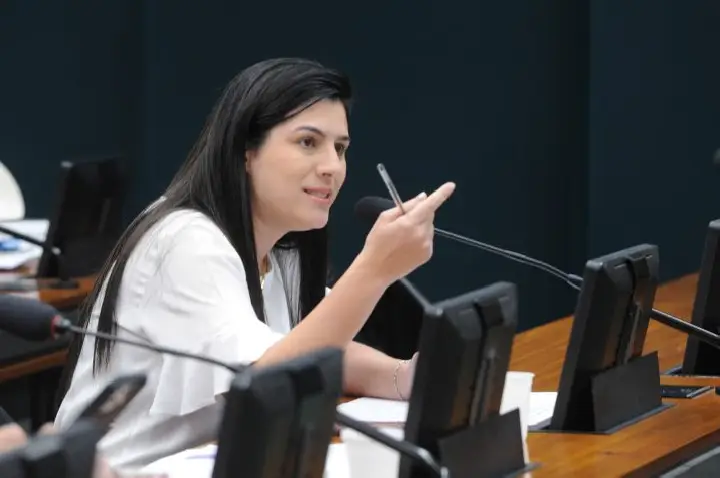 Comissão aprova projeto que amplia rede de apoio para grávidas e mães que estudam