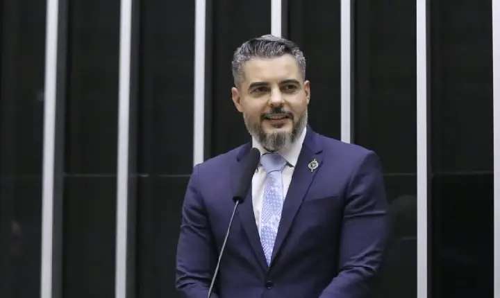 Comissão aprova regras para recuperação de áreas de vegetação atingidas por incêndio