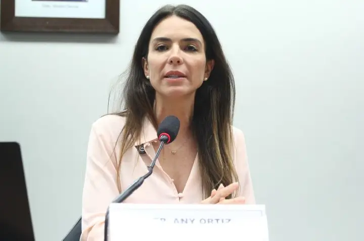 Comissão especial sobre novo teto para MEI é instalada na Câmara