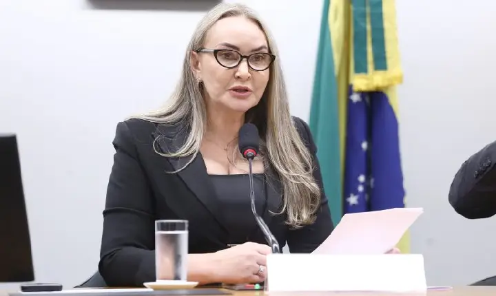 Daniela Reinehr é eleita presidente da Comissão de Turismo e anuncia plano de competitividade