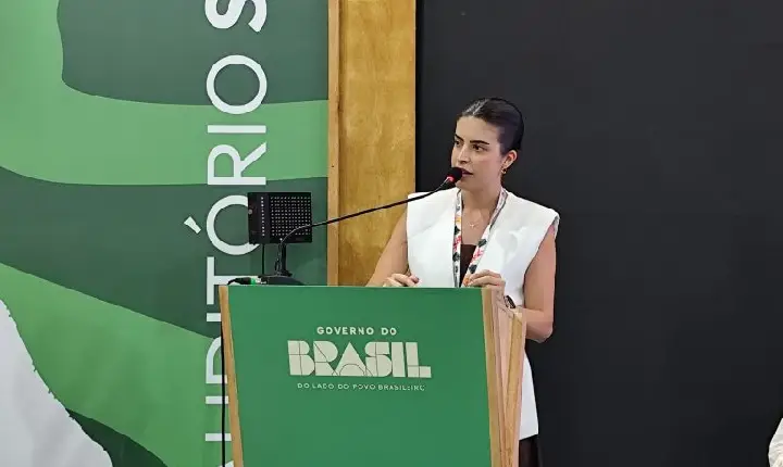 Deputados esperam ampliar apoio a projetos de lei sobre mudanças do clima após a COP30