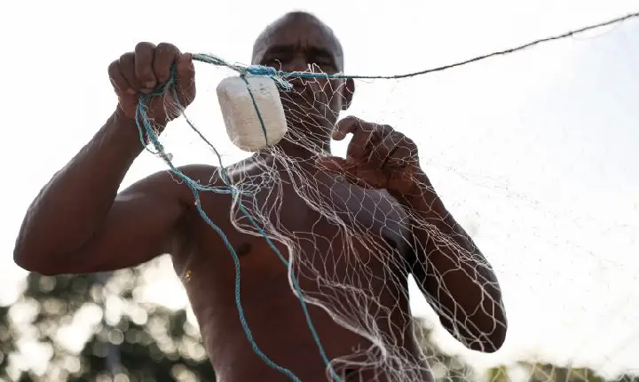 Deputados podem votar alterações em medida provisória que muda regras do seguro-defeso