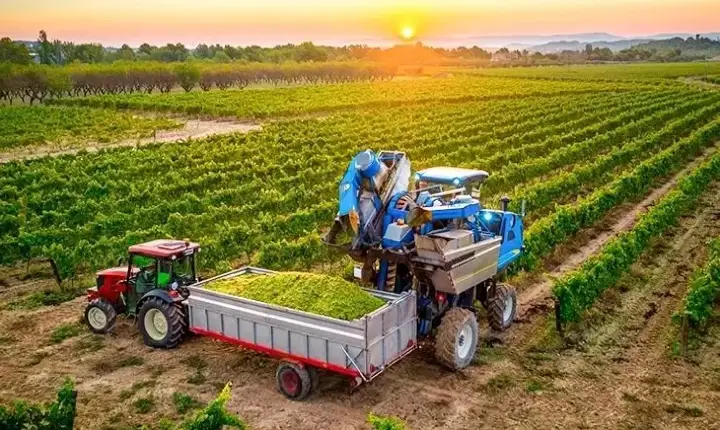 Frente do Agro teme que uso da Lei da Reciprocidade contra os EUA prejudique o setor produtivo