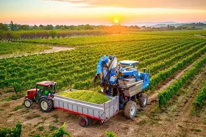 Frente do Agro teme que uso da Lei da Reciprocidade contra os EUA prejudique o setor produtivo