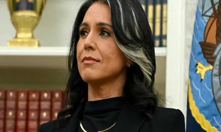 Gabbard afirma que o objetivo de Obama com a narrativa da Rússia era 
