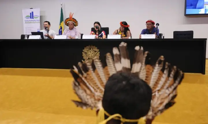 Lideranças defendem indígenas em espaços de decisão e proteção de territórios em seminário na Câmara