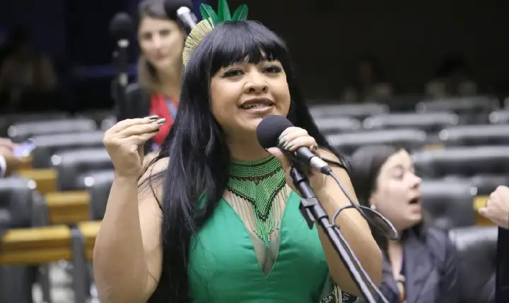 Mesa-redonda debate enfrentamento à violência política de gênero e raça para paridade