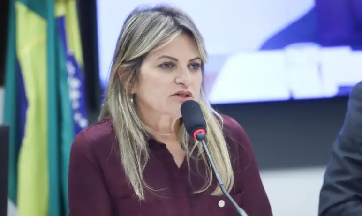 Orçamento 2026: relatora setorial pede recomposição de recursos para a área de Poderes de Estado