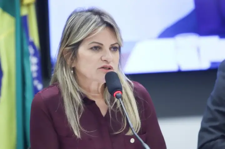 Orçamento 2026: relatora setorial pede recomposição de recursos para a área de Poderes de Estado