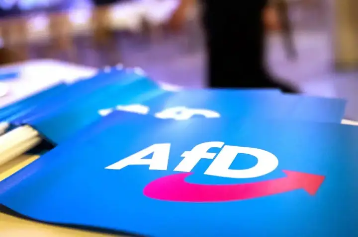 ‘Passo Importante’: Classificação de ‘Extremista’ do Partido Soberanista Alemão AfD Suspensa Após Contestação Legal