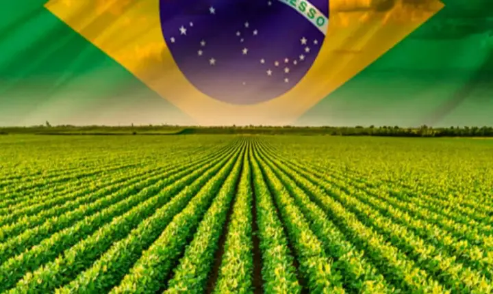 Produtores rurais intensificam apoio a Bolsonaro depois do aumento de tarifa dos EUA