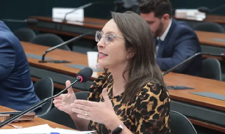 Projeto cria regras sobre custódia compartilhada de animal de estimação