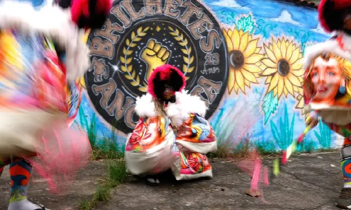 Projetos na Câmara buscam fortalecer o carnaval como patrimônio e ampliar a segurança dos foliões