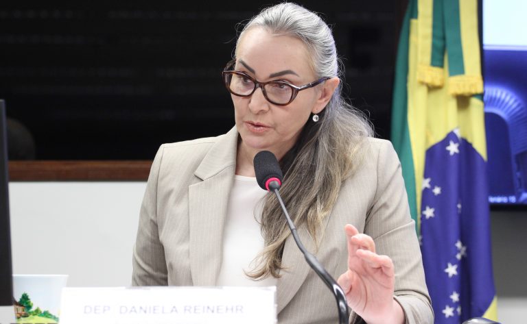 Comissão aprova projeto que disciplina embargo por danos ambientais