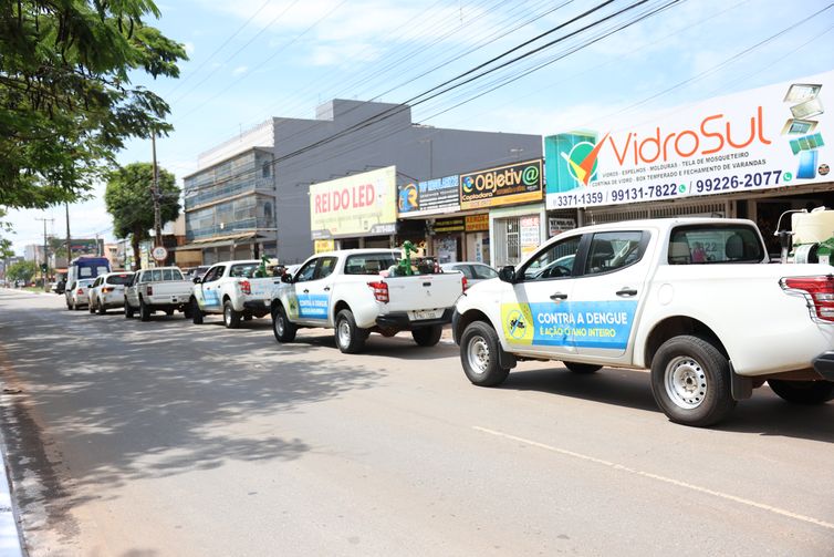 Saúde anuncia 80 municípios prioritários para ações contra dengue