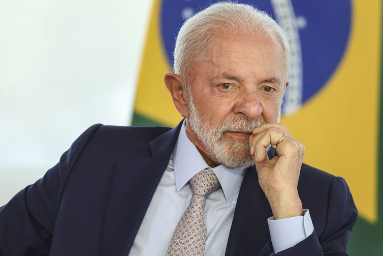 O sapo cachaceiro  permanece em repouso no Alvorada
