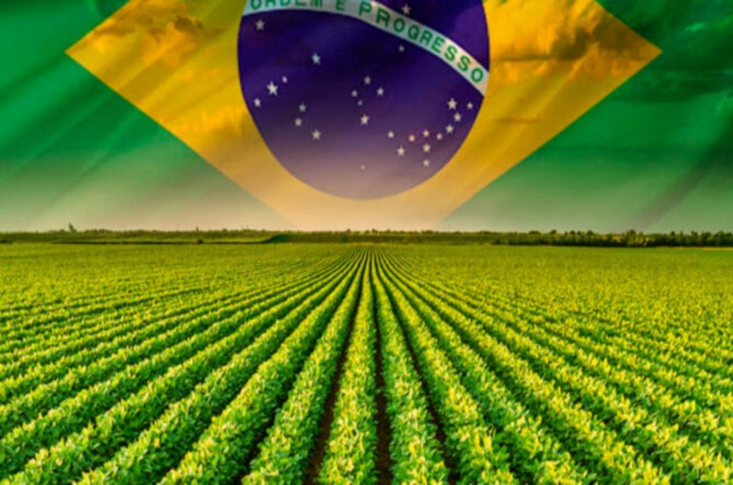 Produtores rurais intensificam apoio a Bolsonaro depois do aumento de tarifa dos EUA
