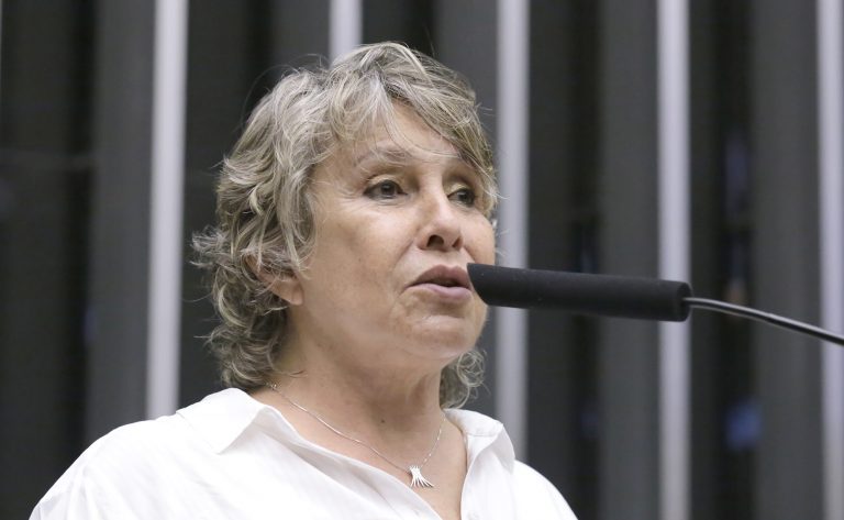 Comissão de Legislação Participativa debate fortalecimento da orientação educacional