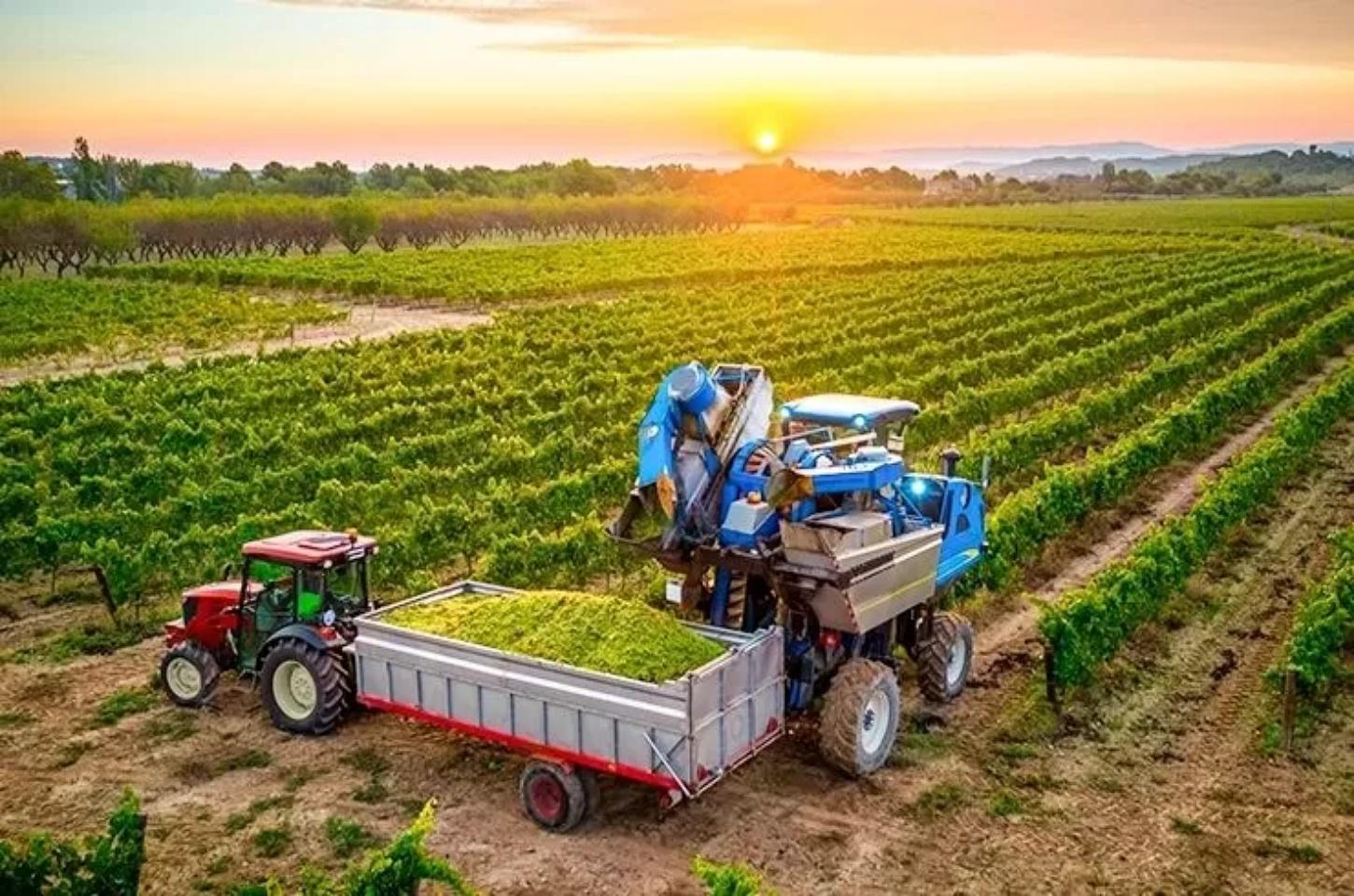 Frente do Agro teme que uso da Lei da Reciprocidade contra os EUA prejudique o setor produtivo