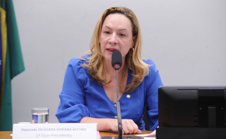 Comissão aprova fim de isenção penal patrimonial em violência doméstica